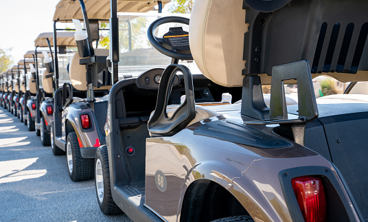 Thing To Do Golf Cart Rentals