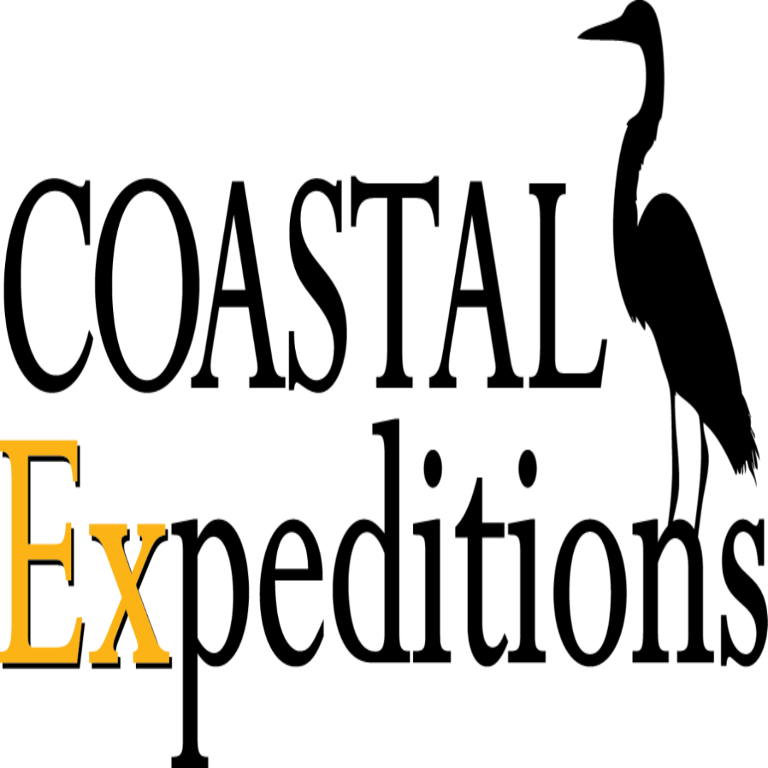 Things To Do Coastal Expeditions