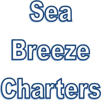 Things To Do Sea Breeze Charters