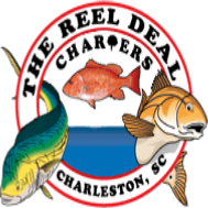 Things To Do The Reel Deel