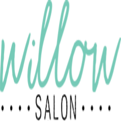 Things To Do Willow Hair Salon