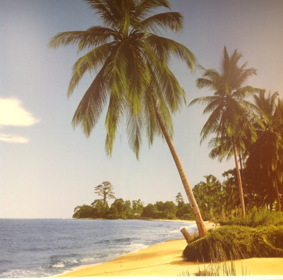 Things To Do Folly Nails