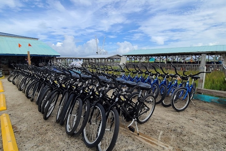 Things To Do Edisto Bike & Golf Cart Rentals