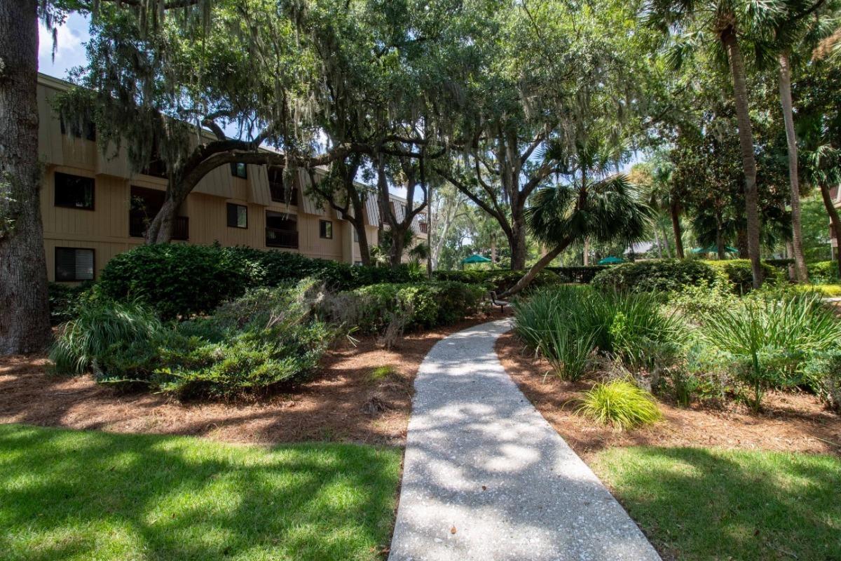 Forest Beach Condos